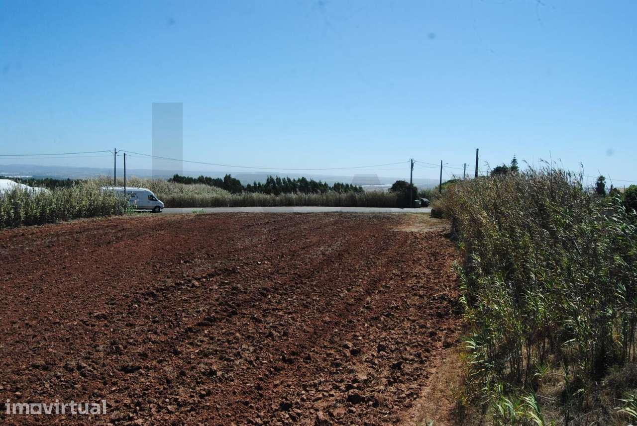 Terreno com 16.520 m2 em A dos Cunhados - Grande imagem: 4/20