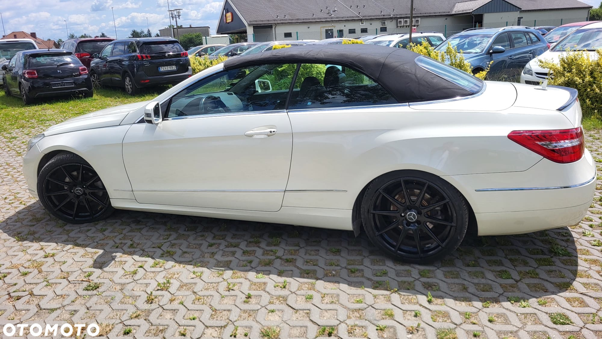 Mercedes-Benz Klasa E 250 CGI Cabrio BlueEFFICIENCY Automatik Avantgarde - 23