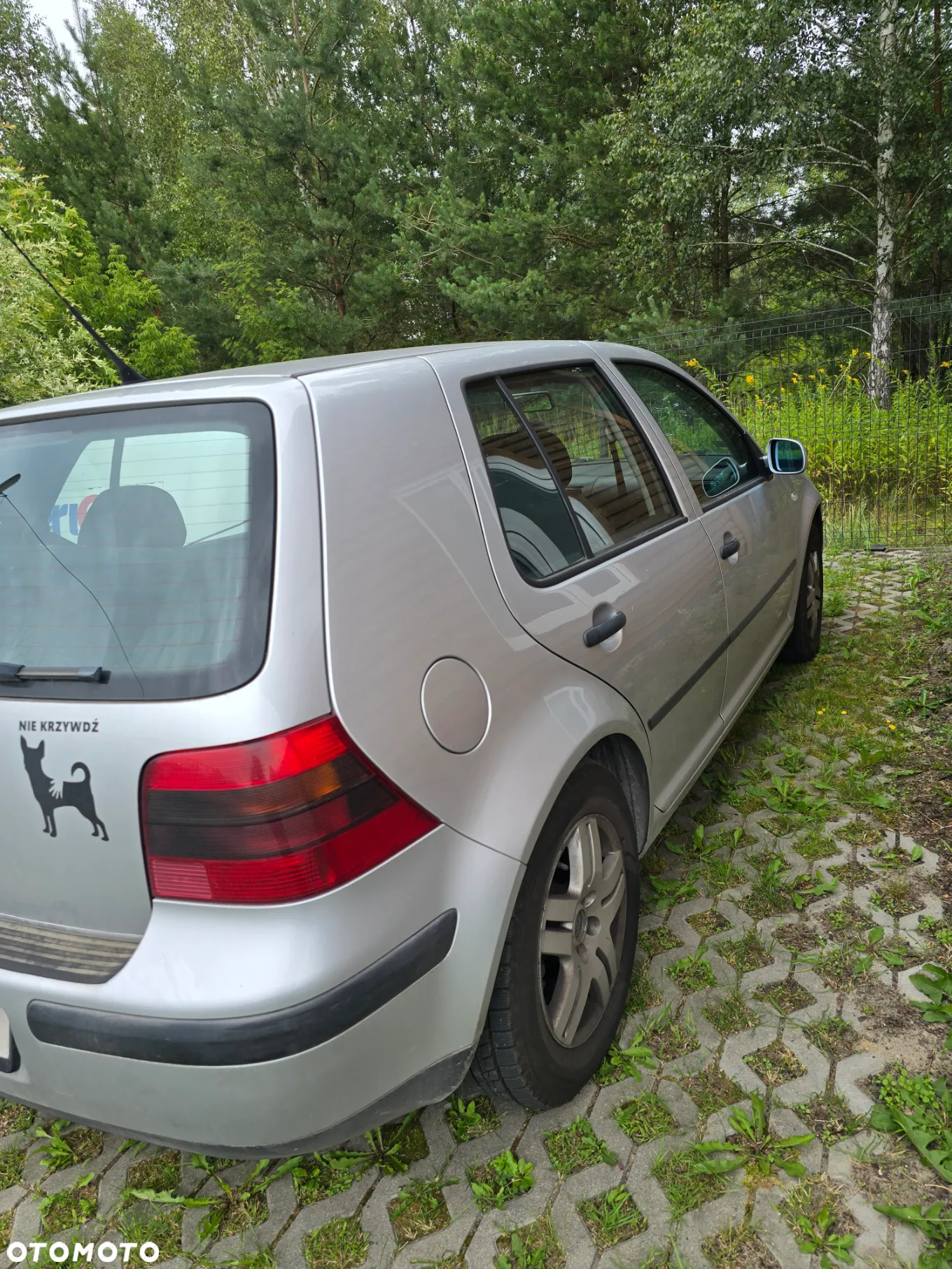 Volkswagen Golf IV 1.4 16V Trendline - 2