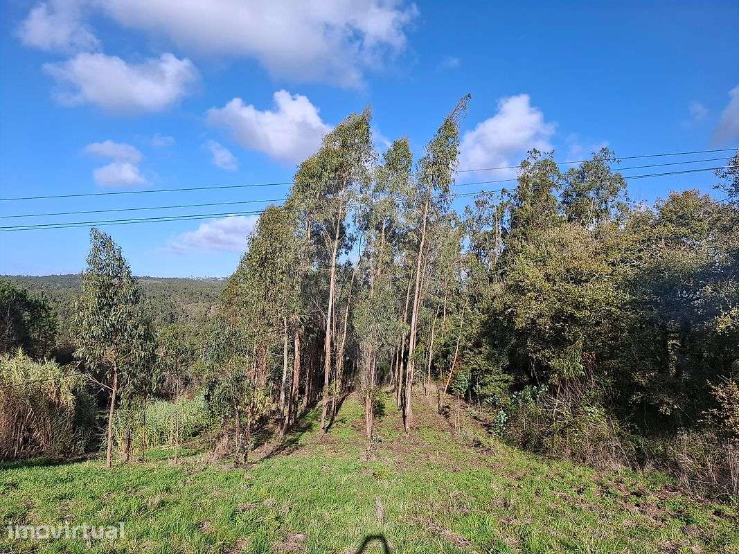 Terreno  para venda - Grande imagem: 5/10