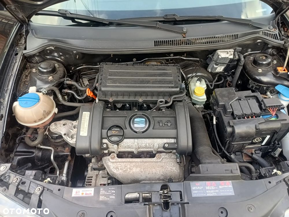 Seat Ibiza - 22