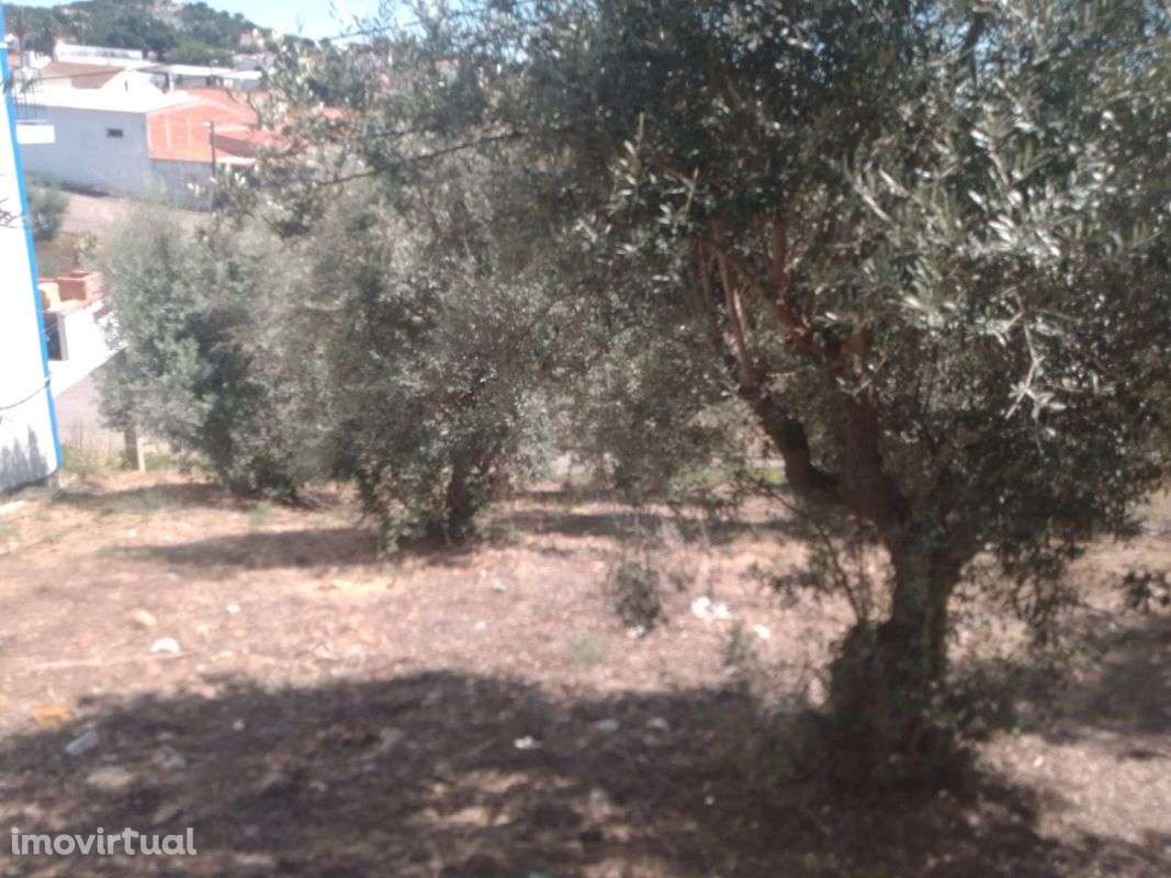 Terreno  para venda - Grande imagem: 2/11