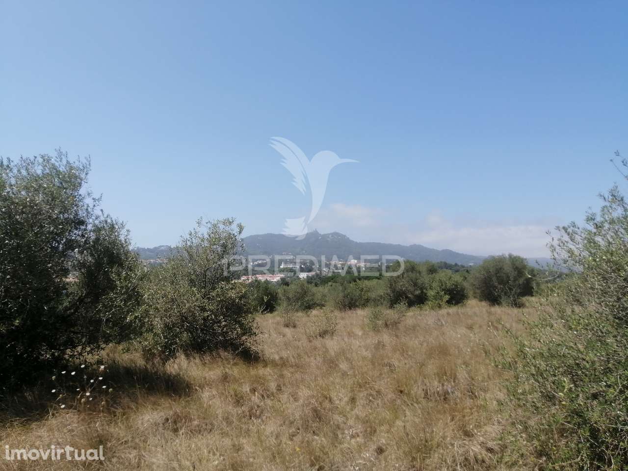 Terreno agrícola em Sintra - Grande imagem: 5/11