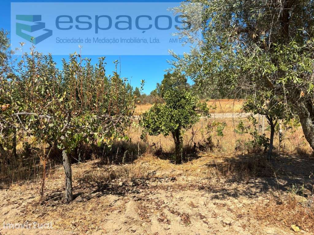 Quinta com vistas para gardunha - Grande imagem: 3/20