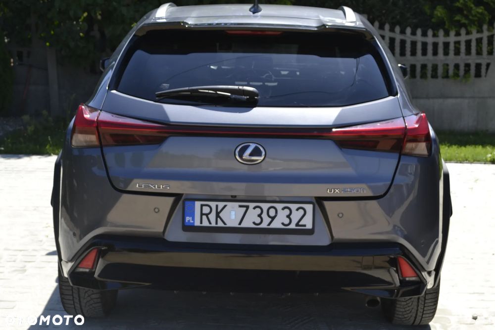 Lexus UX 250h Prestige 2WD - 17