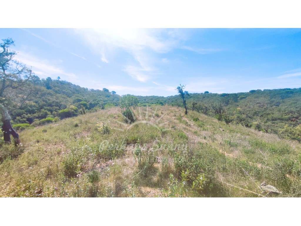 Terreno Rústico - Grande imagem: 3/19