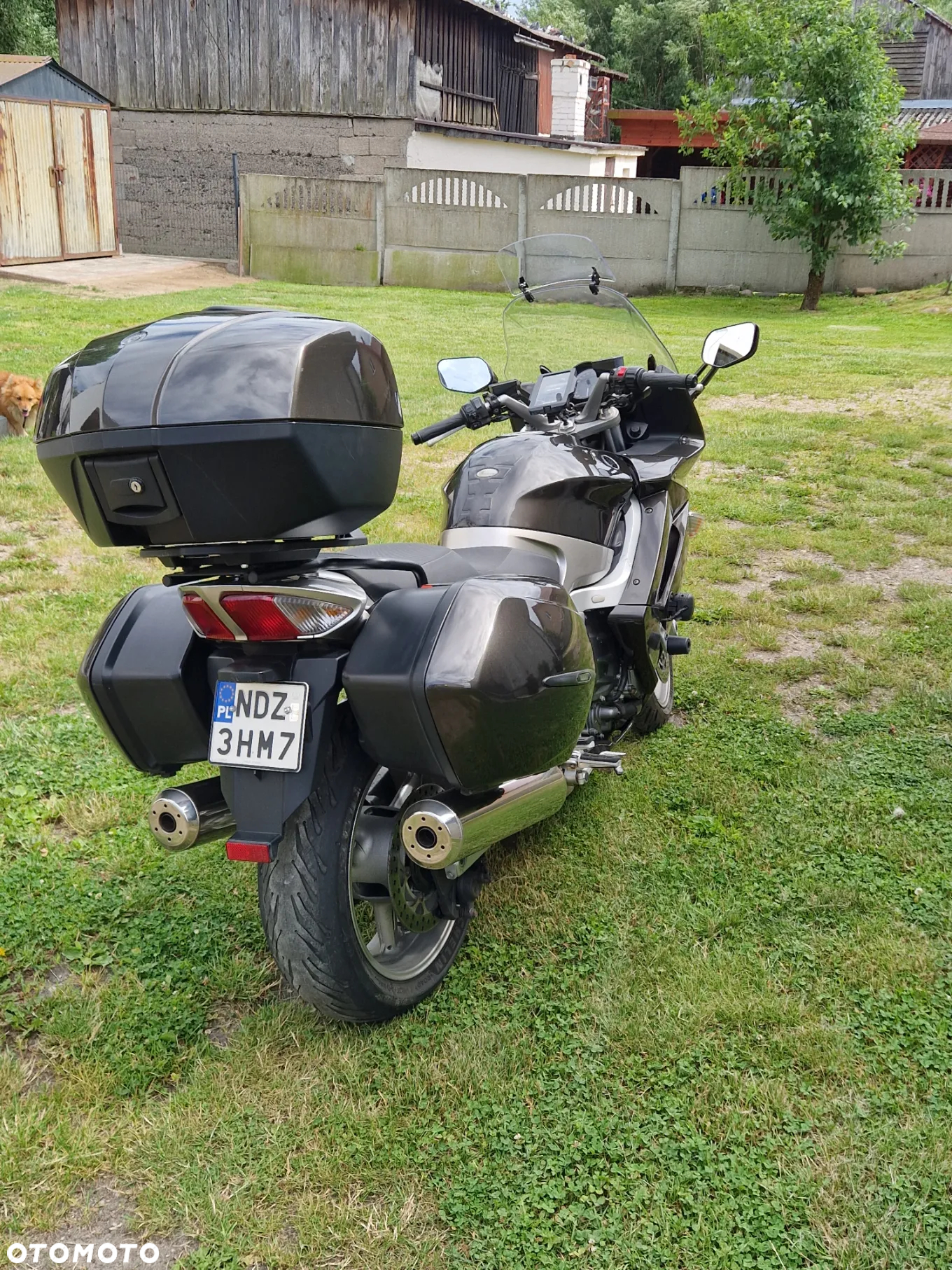Yamaha FJR - 5