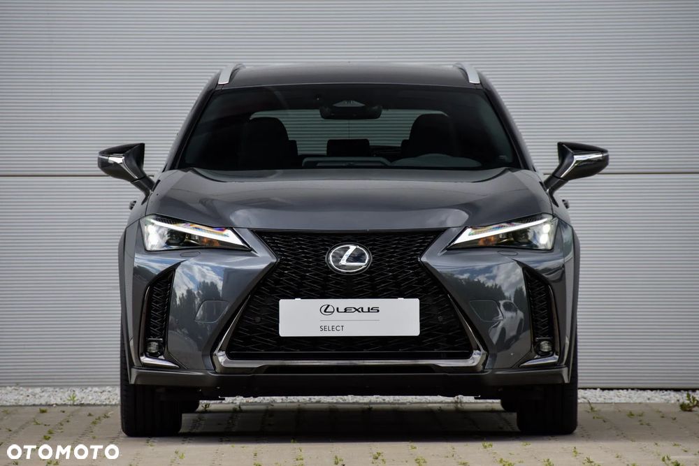 Lexus UX 300h F Sport Design AWD - 7