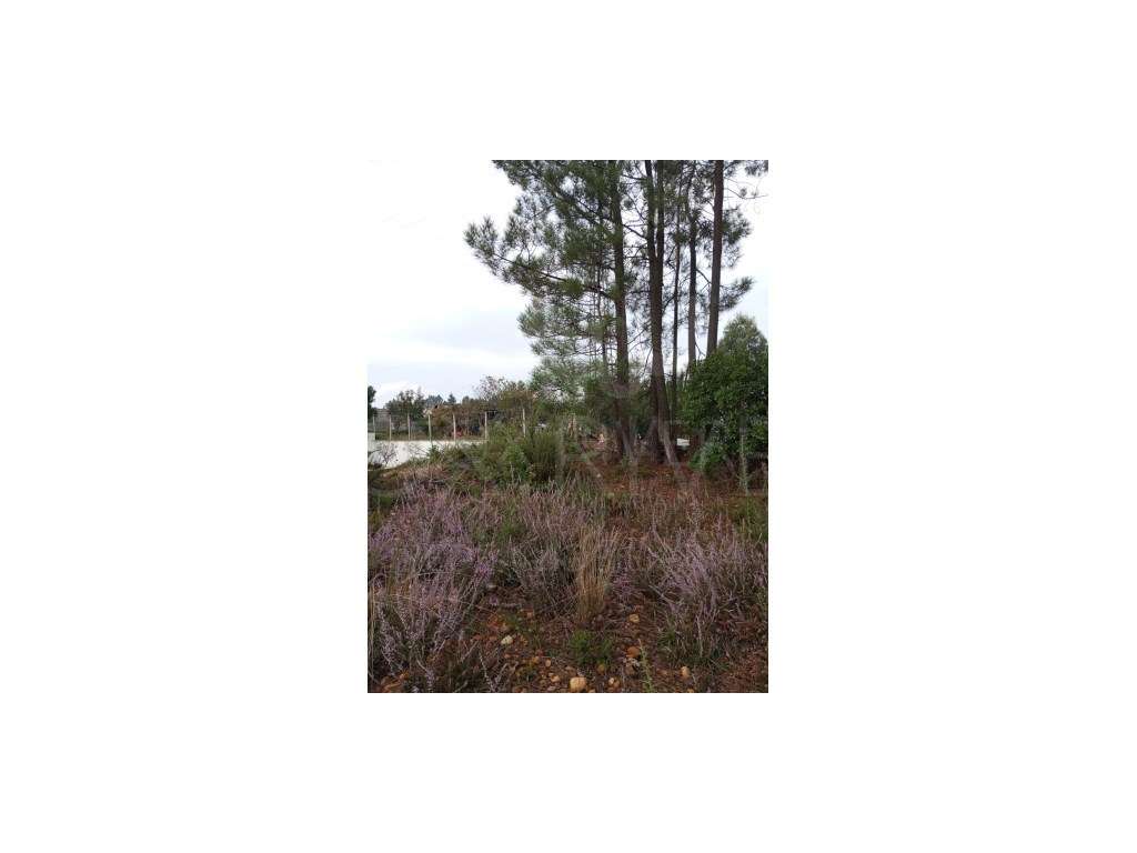 Terreno localizado na freguesia de Bela, no concelho de Monção. - Grande imagem: 4/8