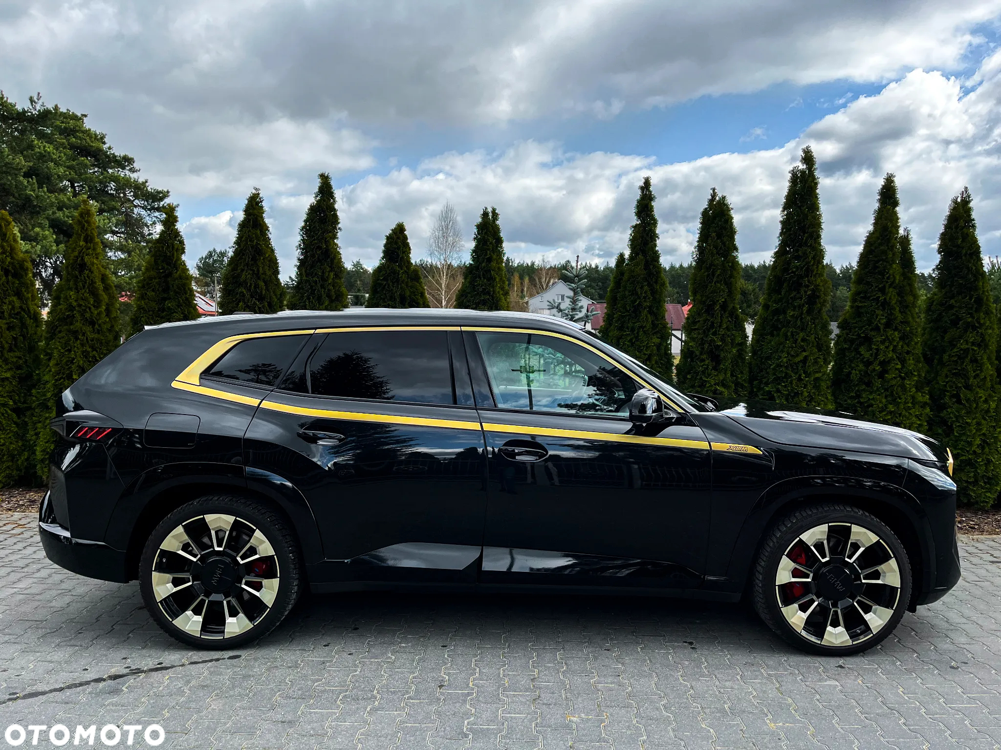 BMW XM PHEV sport - 6