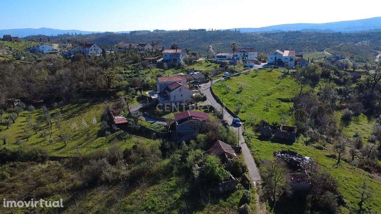 Ruína com Poço e Terreno de 4.500m² com Nogueiras – Vista Desafogada e - Grande imagem: 4/7