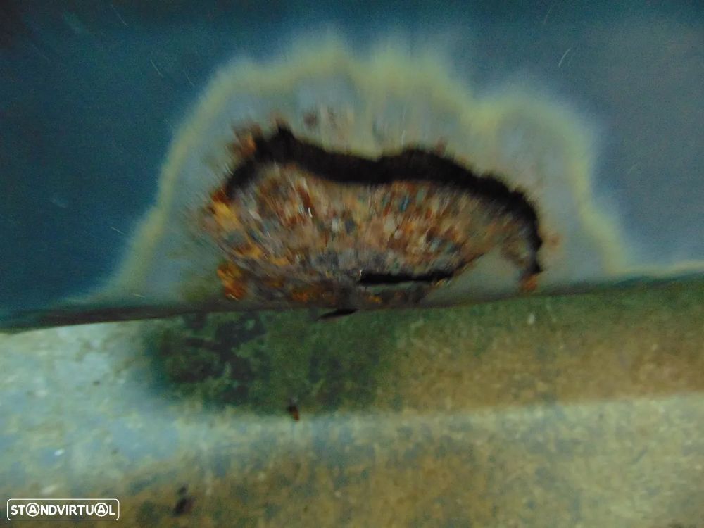 Mitsubishi L300 para-choques - 5