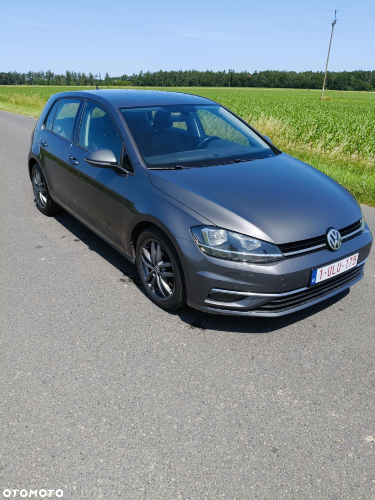 Volkswagen Golf VII 1.6 TDI BMT Comfortline - 9