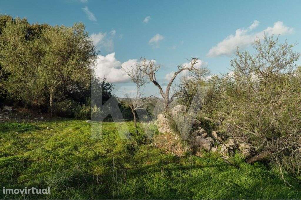 Ruína com Terreno e vistas Deslumbrantes | Santo Estevão | Tavira - Grande imagem: 5/26