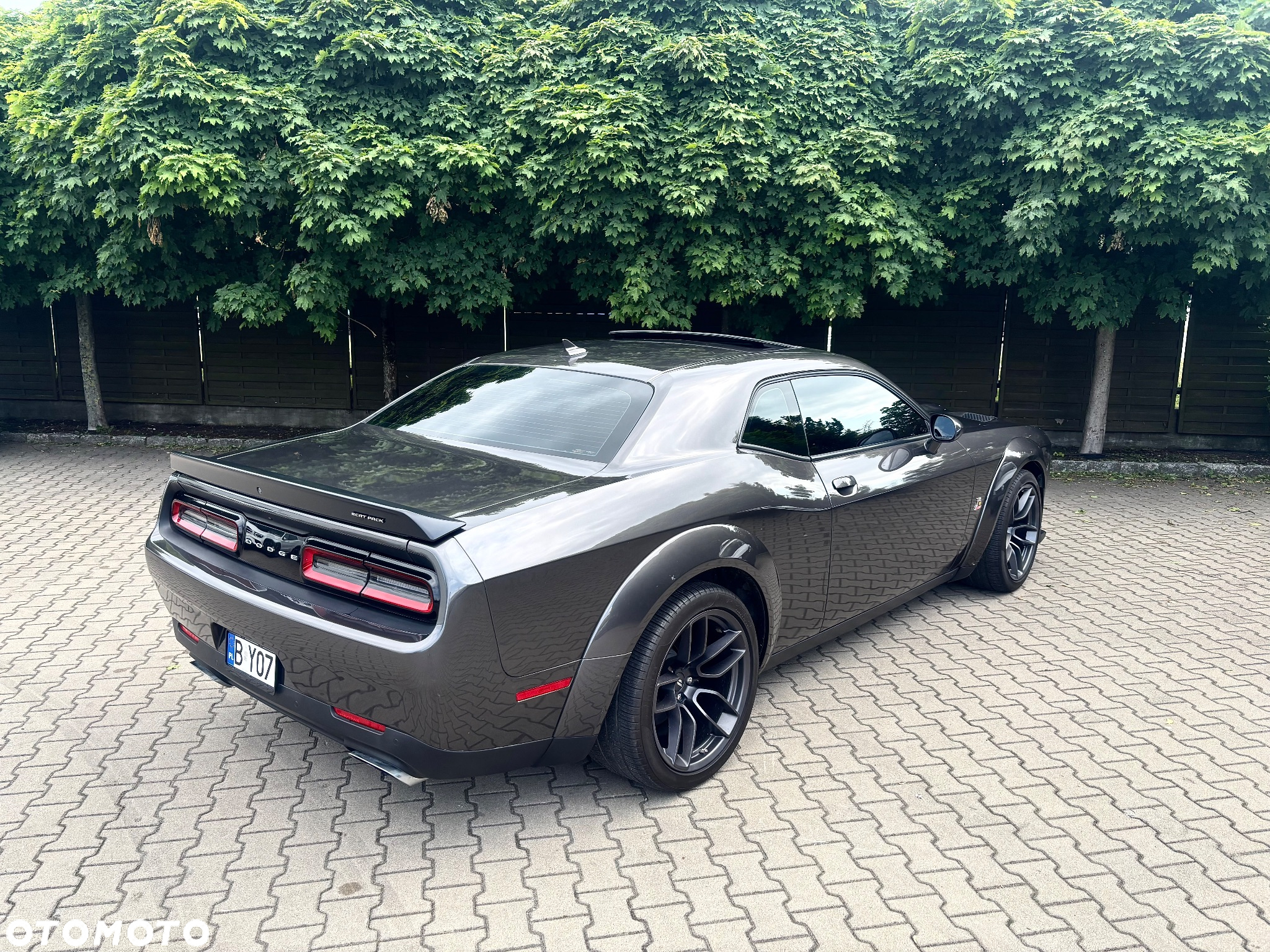 Dodge Challenger 6.4 Scat PackWidebody - 6
