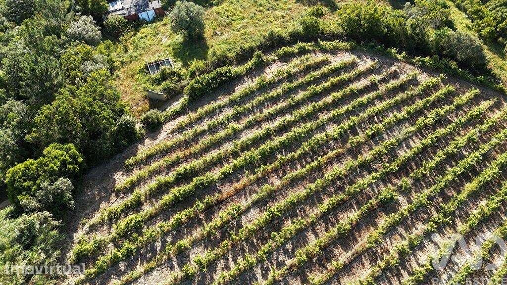 Terreno Agrícola em Mafra - Grande imagem: 4/24