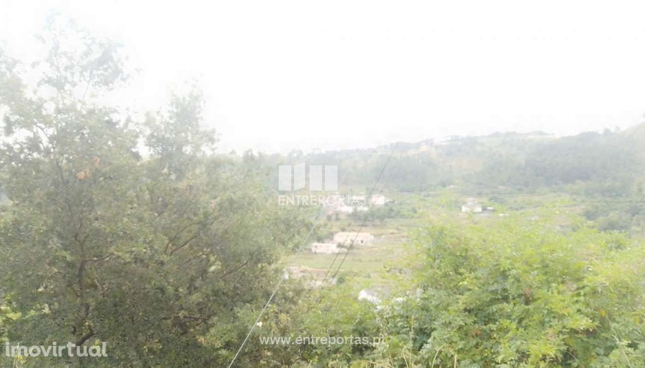 Venda Terreno, Santiago de Piães, Cinfães - Grande imagem: 3/27