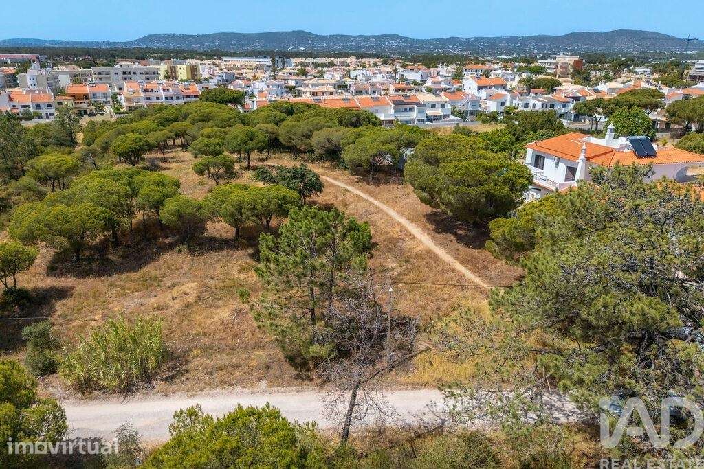 Terreno em Montenegro de 5320,00 m2 - Grande imagem: 2/27