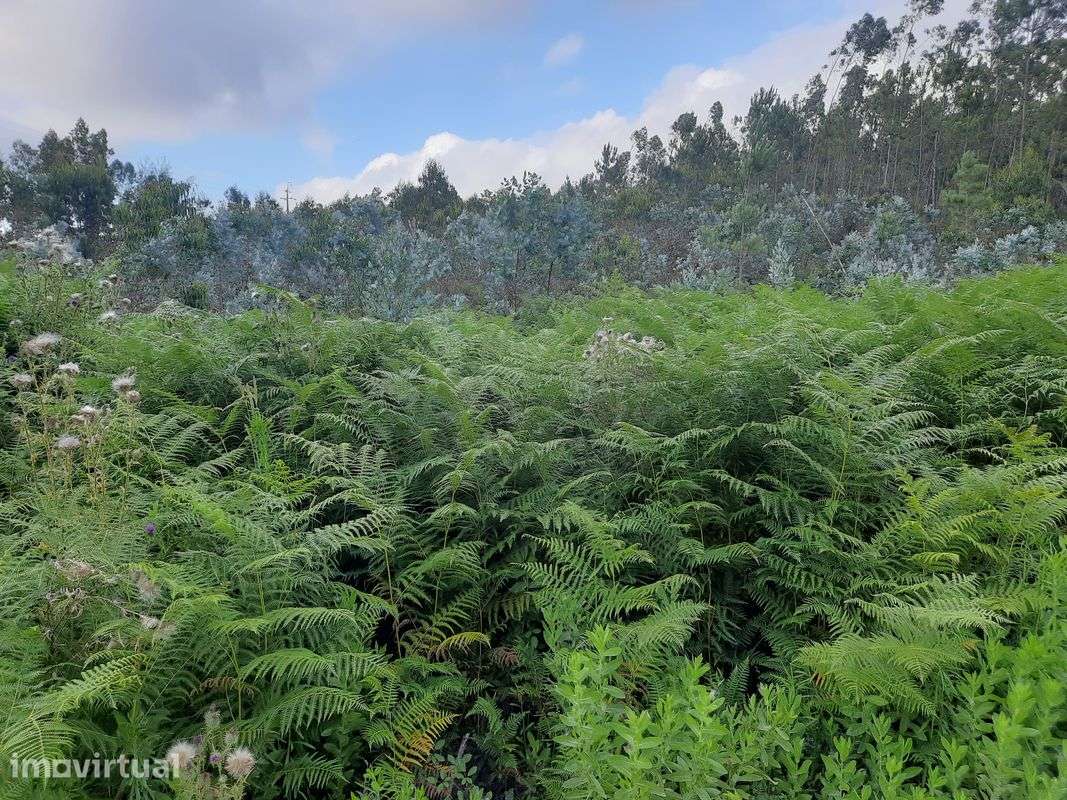 Terreno  para venda - Grande imagem: 2/8