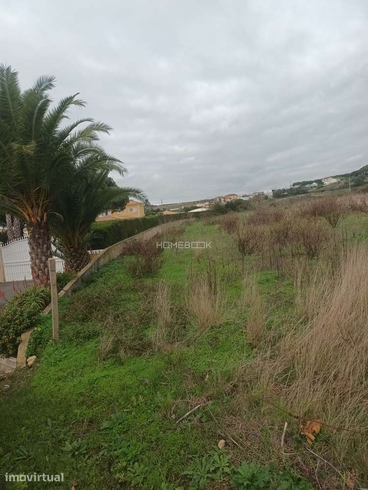 Terreno/Quinta junto à N247 Sintra/Ericeira - Grande imagem: 2/3
