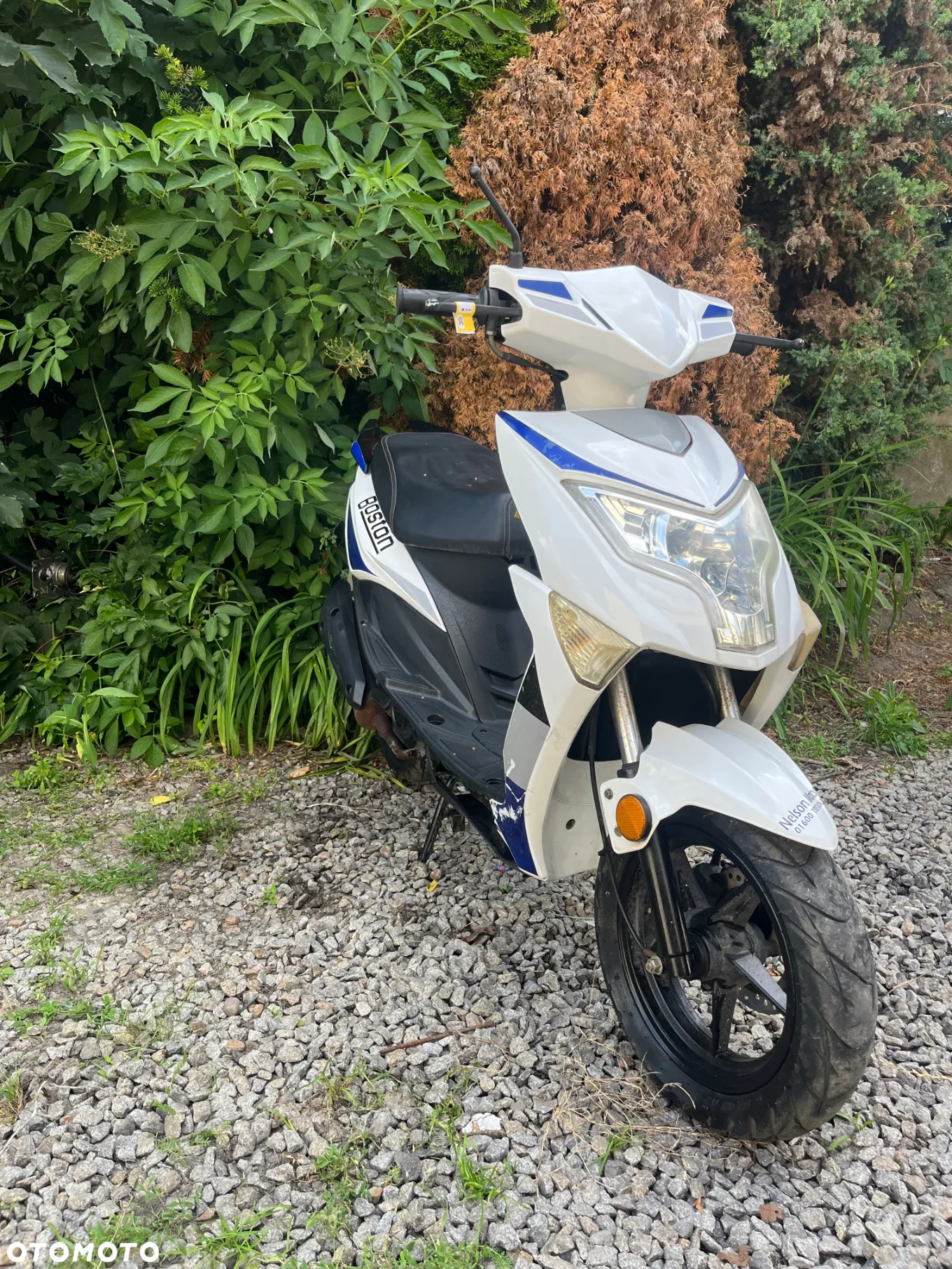 Piaggio ZIP - 6