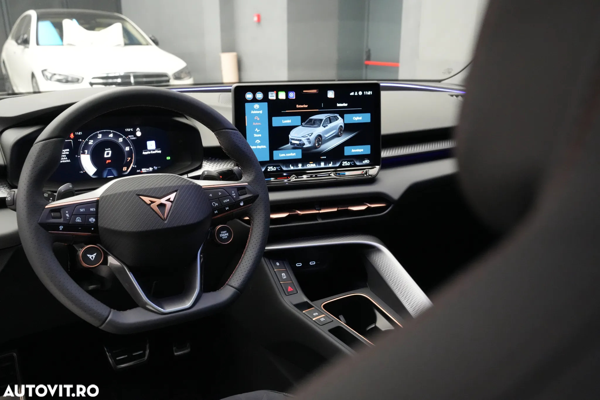 Cupra Terramar - 16