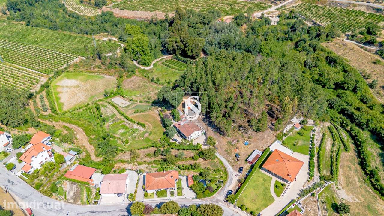 Quinta T4 Venda em Gondar,Amarante - Grande imagem: 2/30