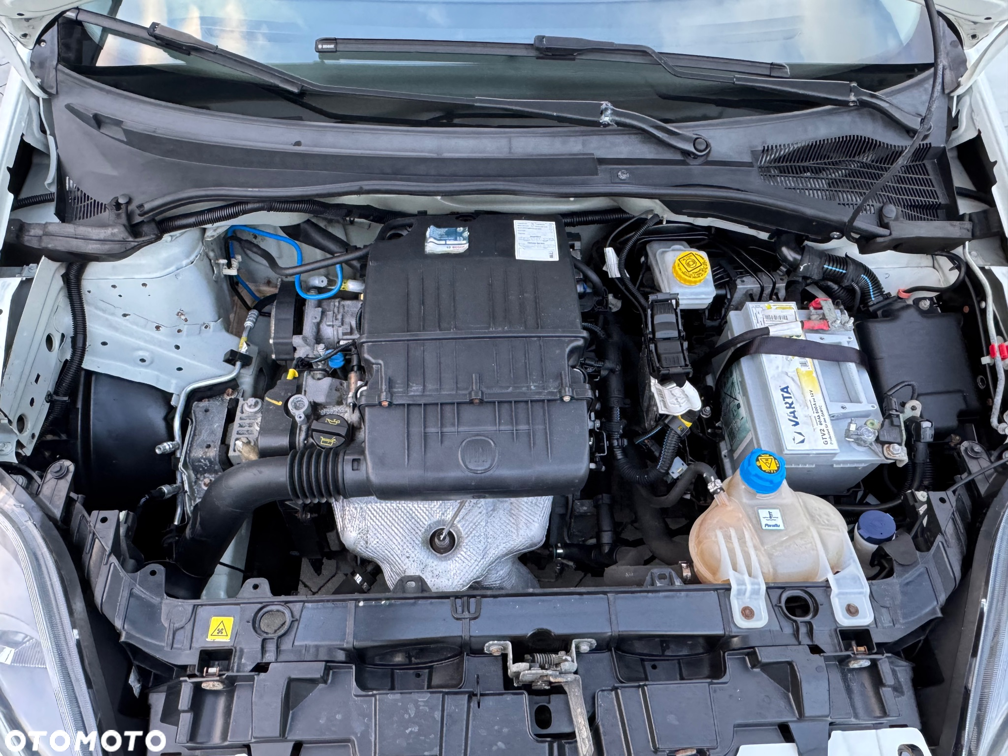 Fiat Punto 1.2 Easy Pakiet Easy Plus - 9