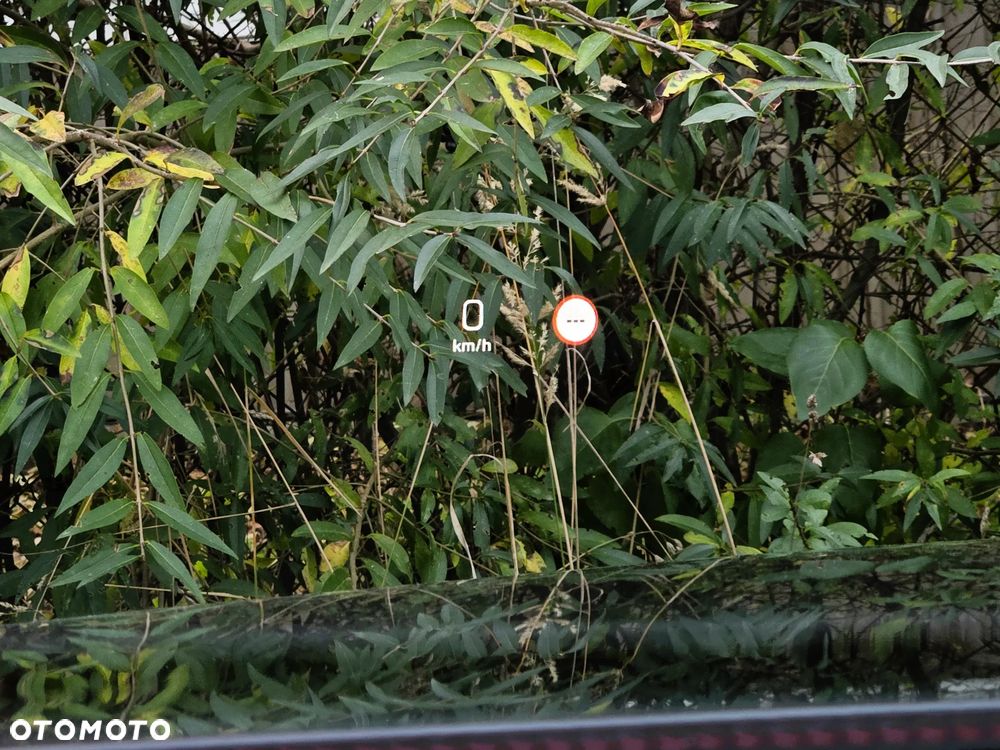 Mercedes-Benz CLS AMG 53 4Matic AMG Speedshift 9G-TRONIC Edition 1 - 39