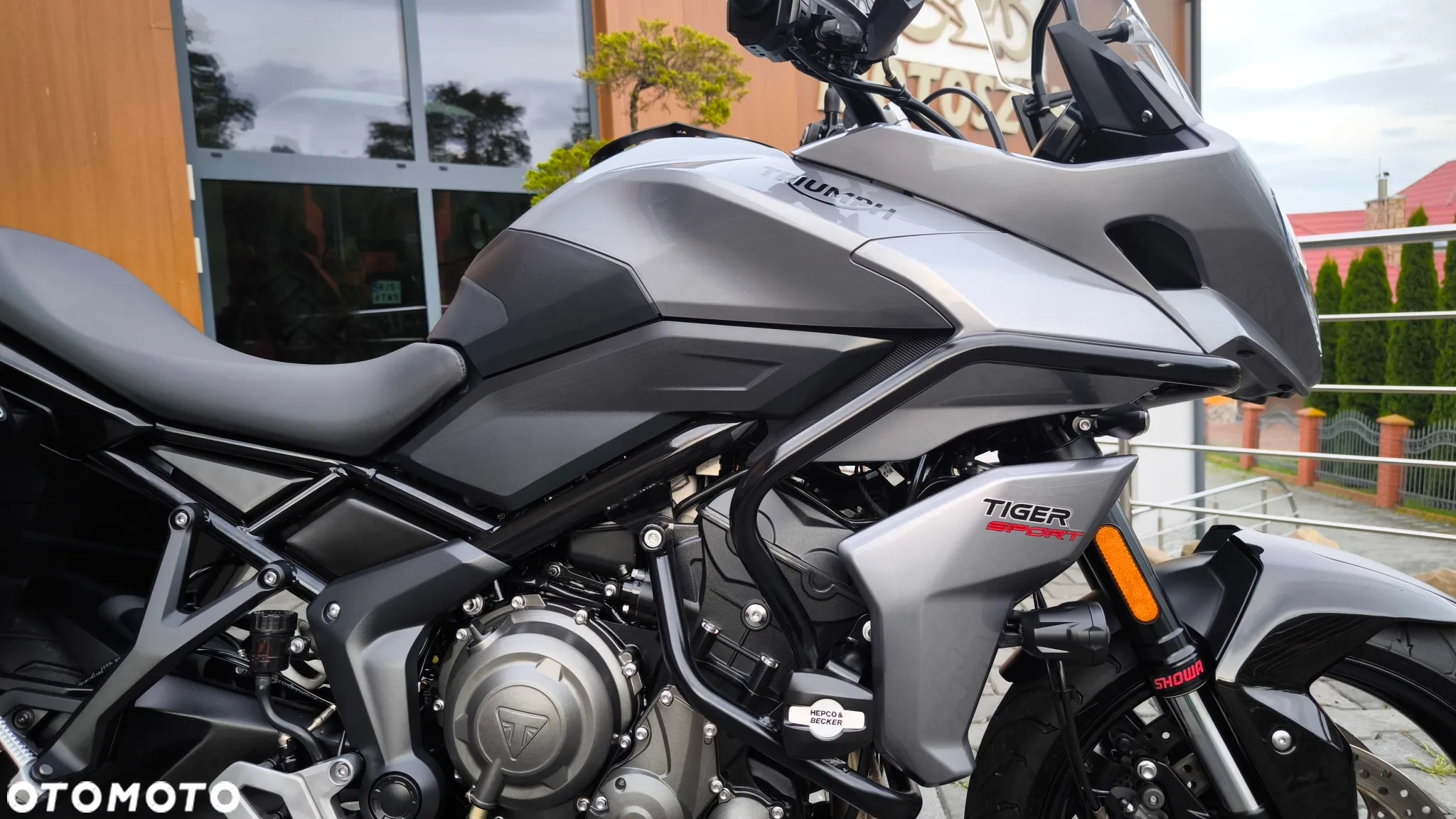Triumph Tiger - 22