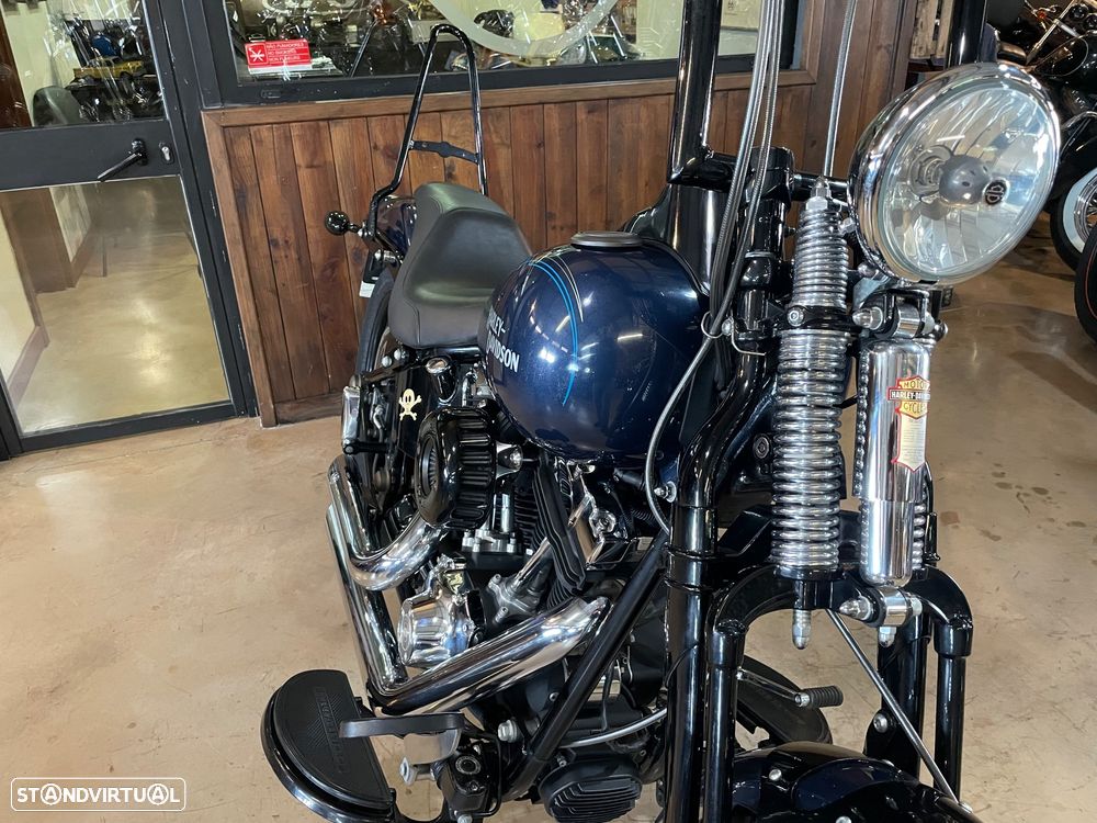 Harley-Davidson FLSTS Crossbones - 22