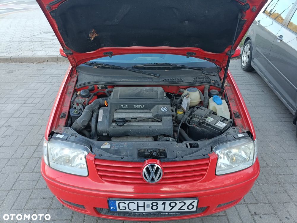 Volkswagen Polo - 8