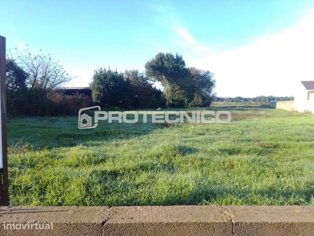 Terreno c/ 2.000m2 – Cacia - Grande imagem: 5/5