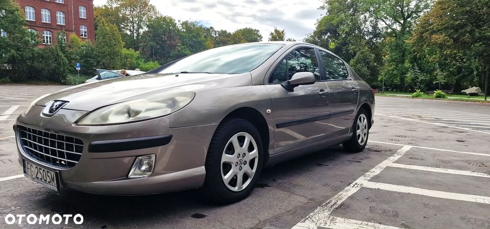 Peugeot 407 - 25