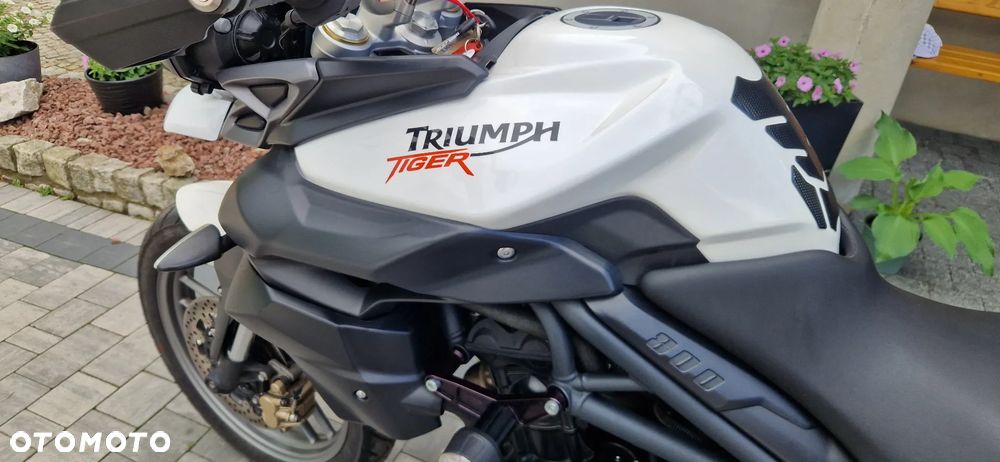 Triumph Tiger - 6