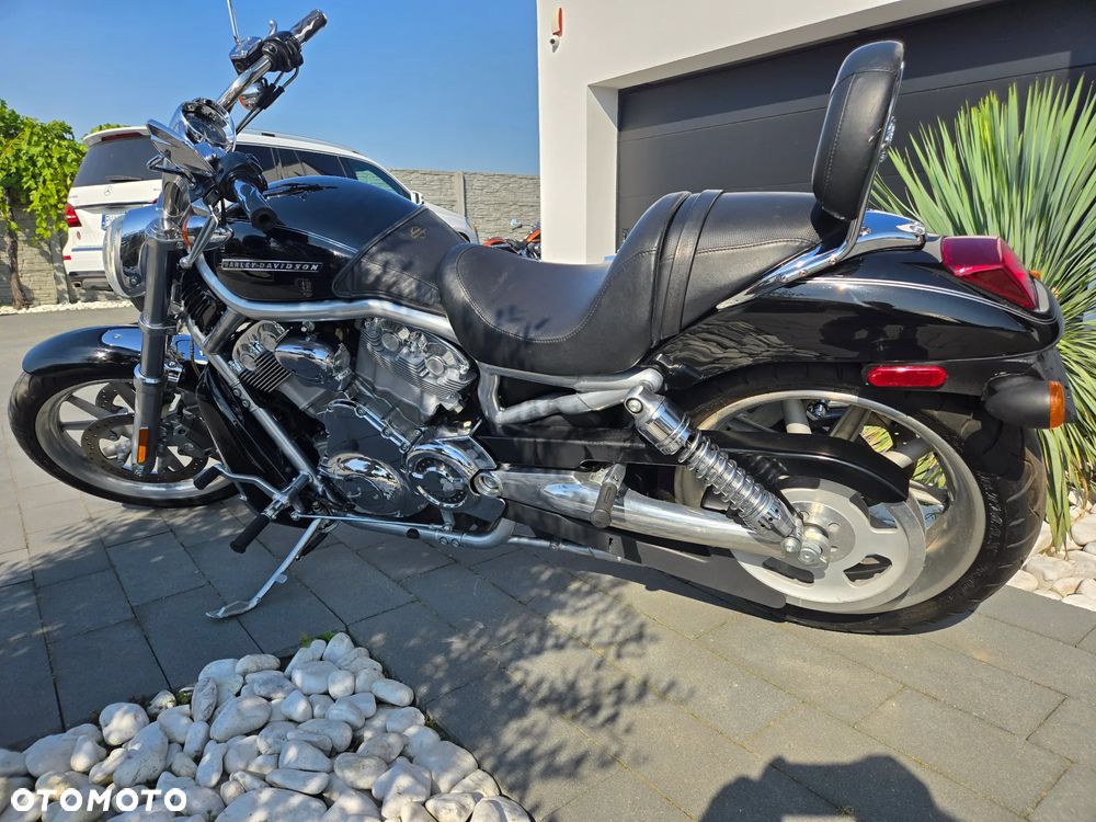 Harley-Davidson V-Rod Night Rod - 7