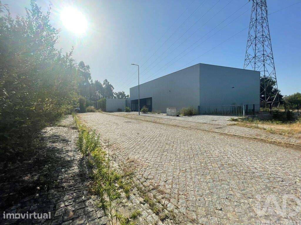 Loja / Estabelecimento Comercial em Mujães de 361,00 m2 - Grande imagem: 2/7