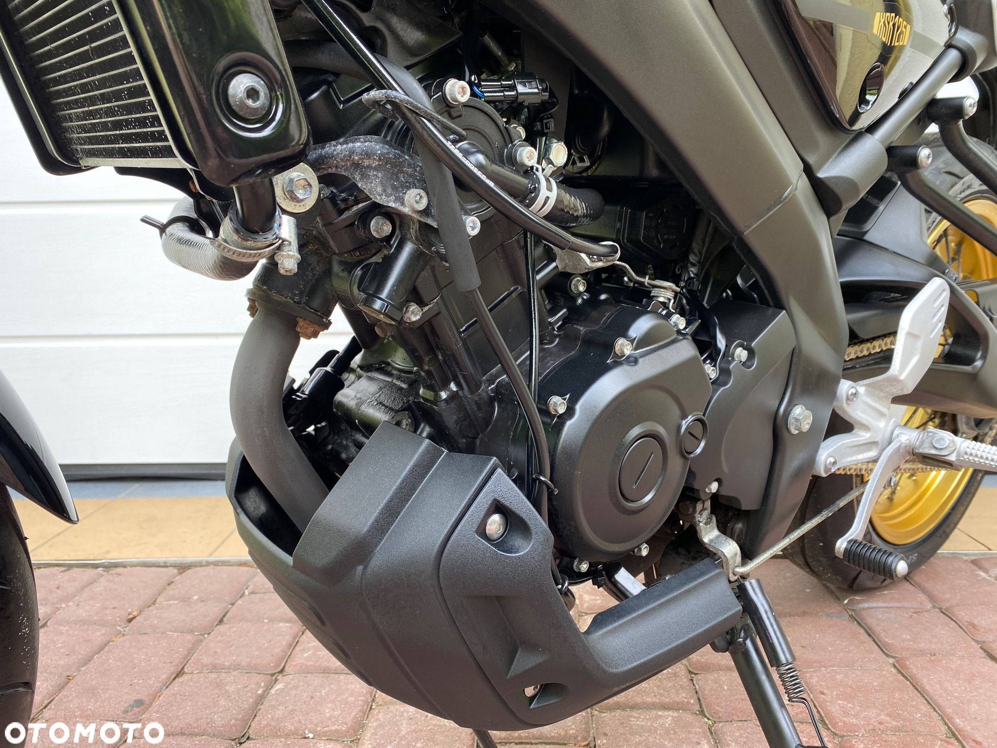 Yamaha XSR - 8