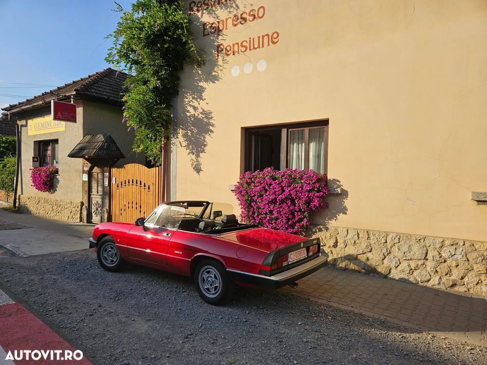 Alfa Romeo Spider - 3