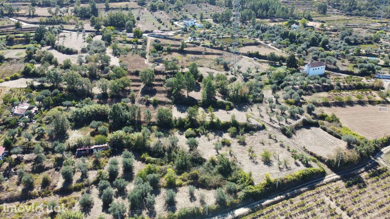 Terreno - Ferro a 10 min da Covilhã - Grande imagem: 5/26