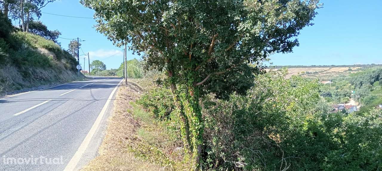 Terreno Rústico em Lisboa, Arruda dos Vinhos - €15.000 / Venda - Grande imagem: 3/5