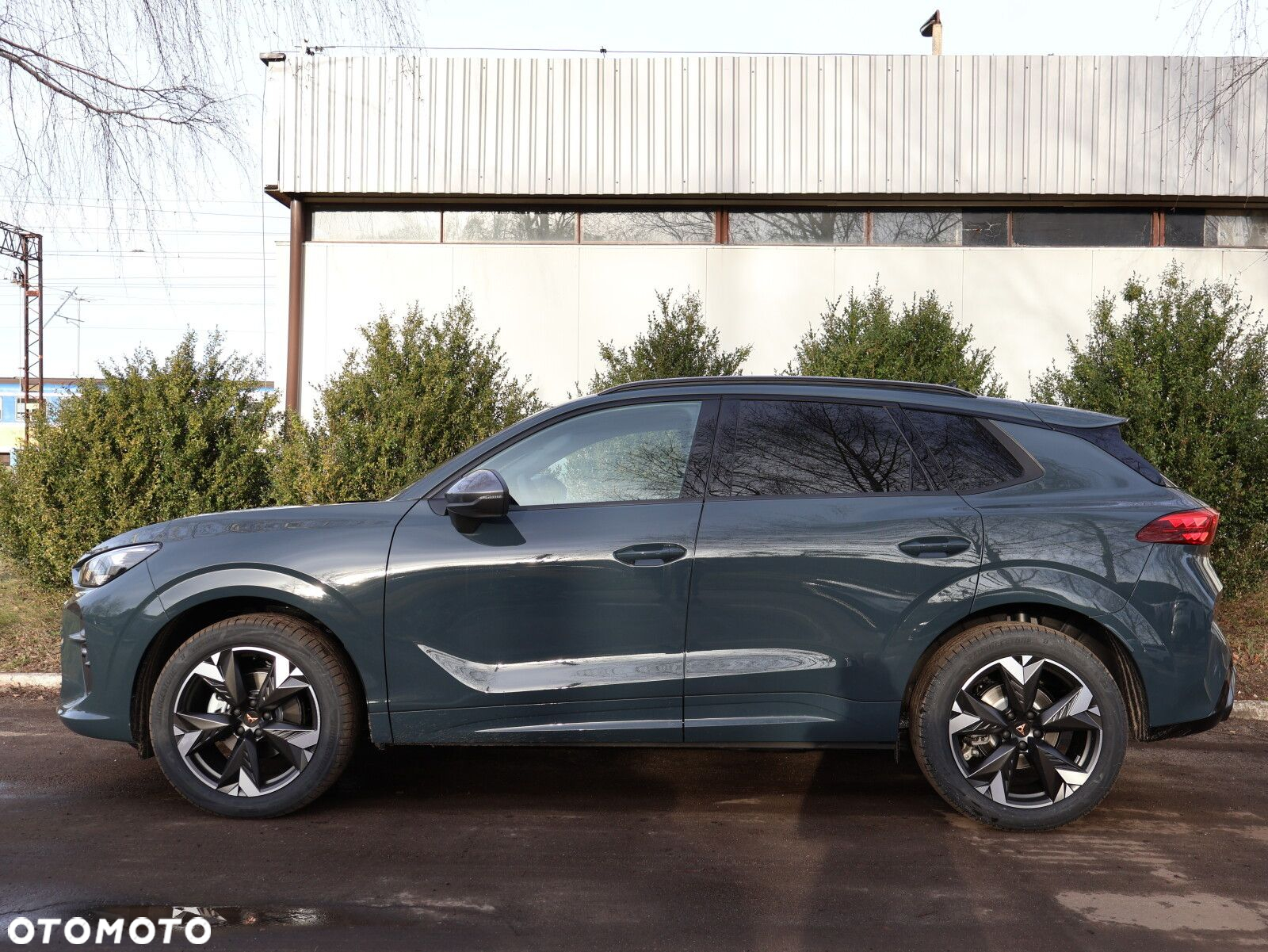 Cupra Terramar 1.5 eTSI mHEV DSG - 7