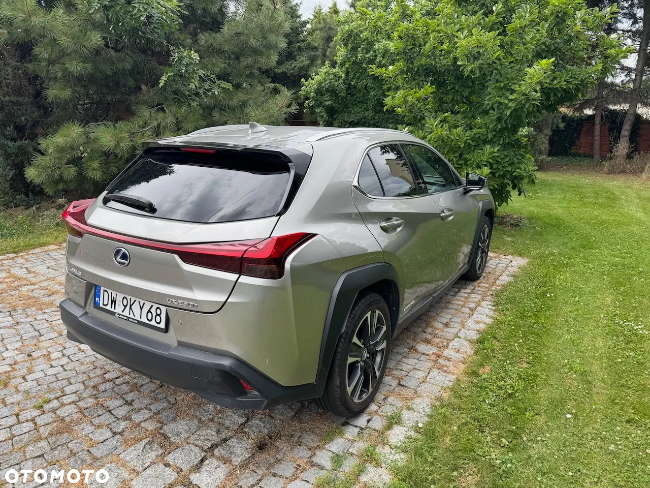 Lexus UX 250h GPF Business Edition 2WD - 14