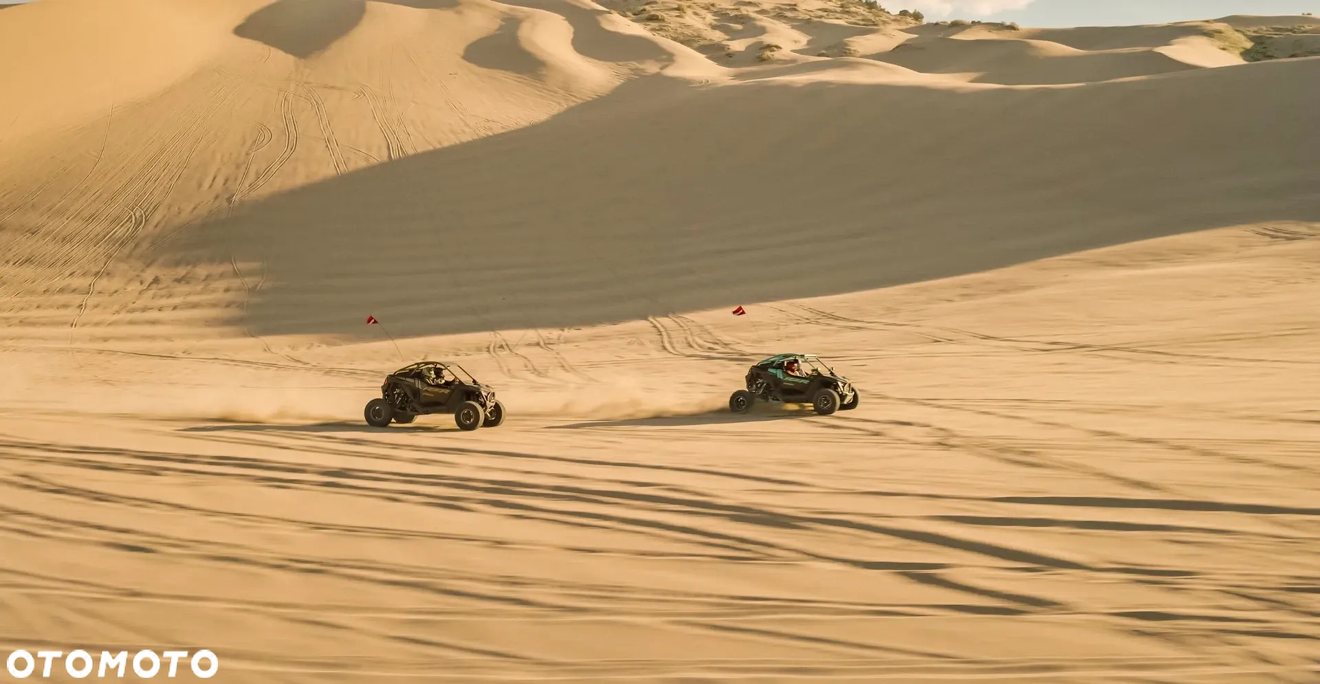 Polaris RZR - 7