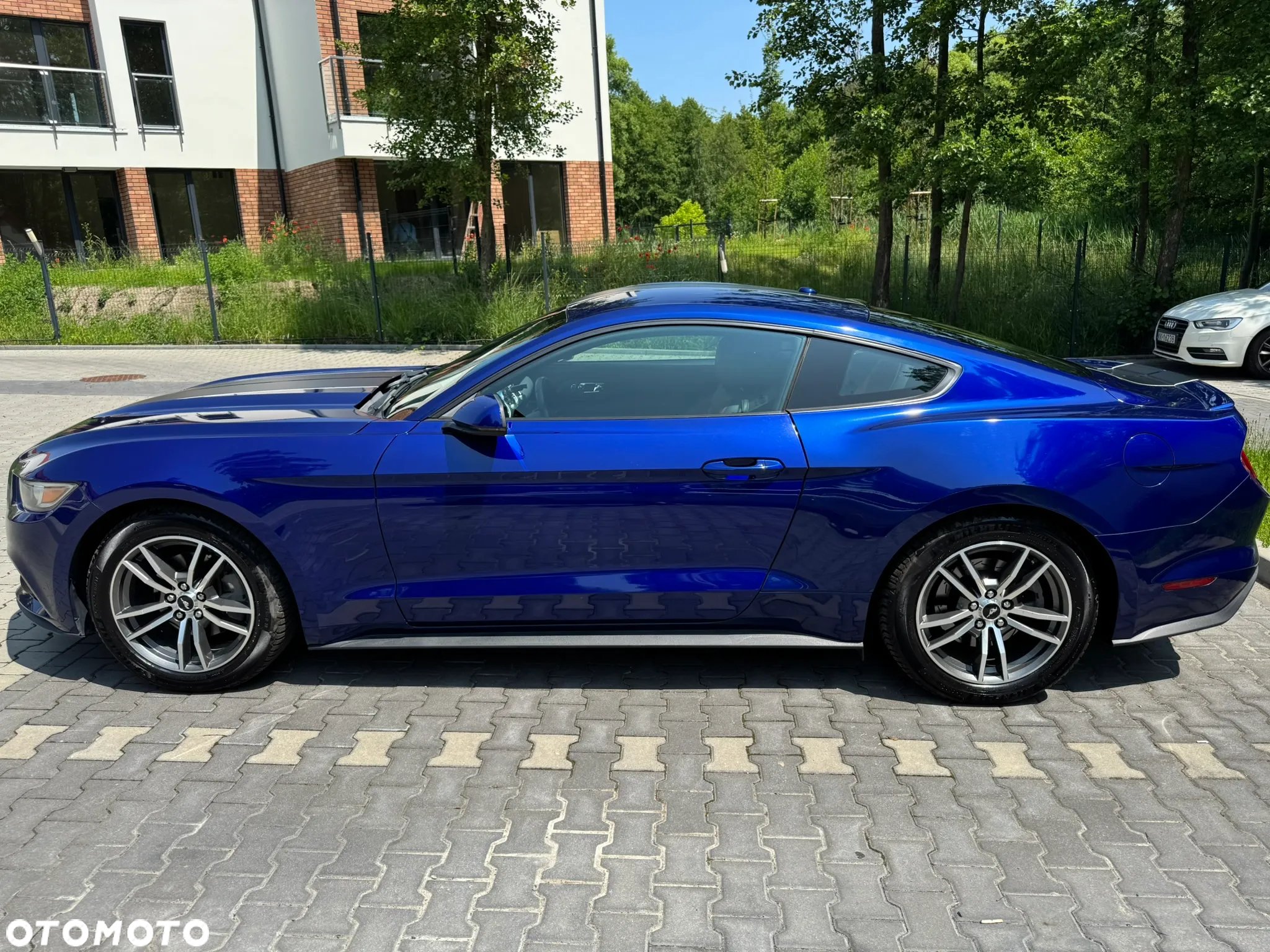 Ford Mustang 2.3 EcoBoost - 4