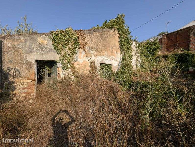 Moradia T2 com Excelente Quintal e Anexos para Renovar – Maçussa - Grande imagem: 3/9