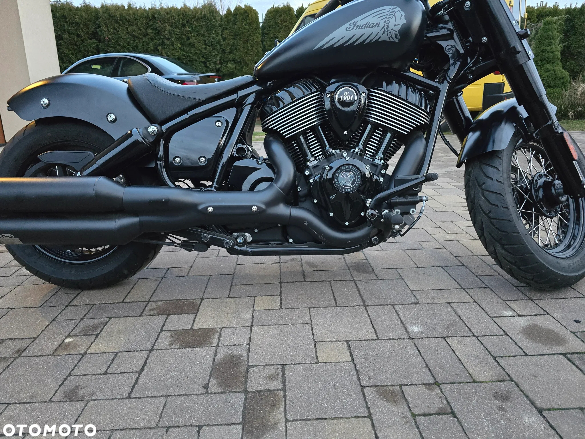 Indian Chief - 19