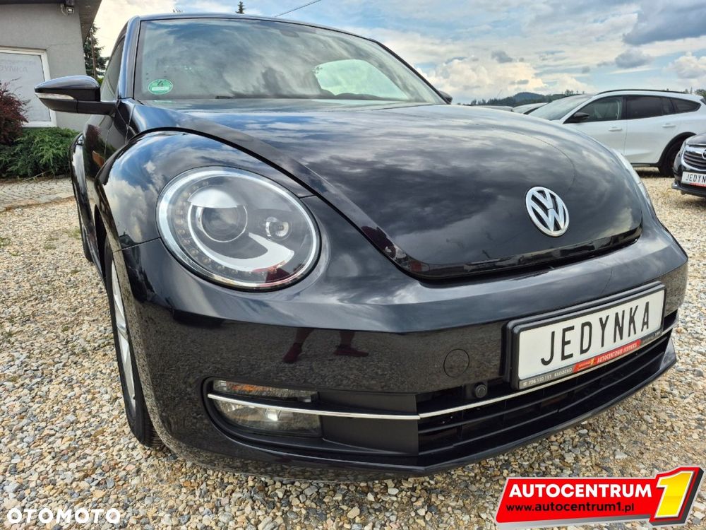 Volkswagen Beetle - 14