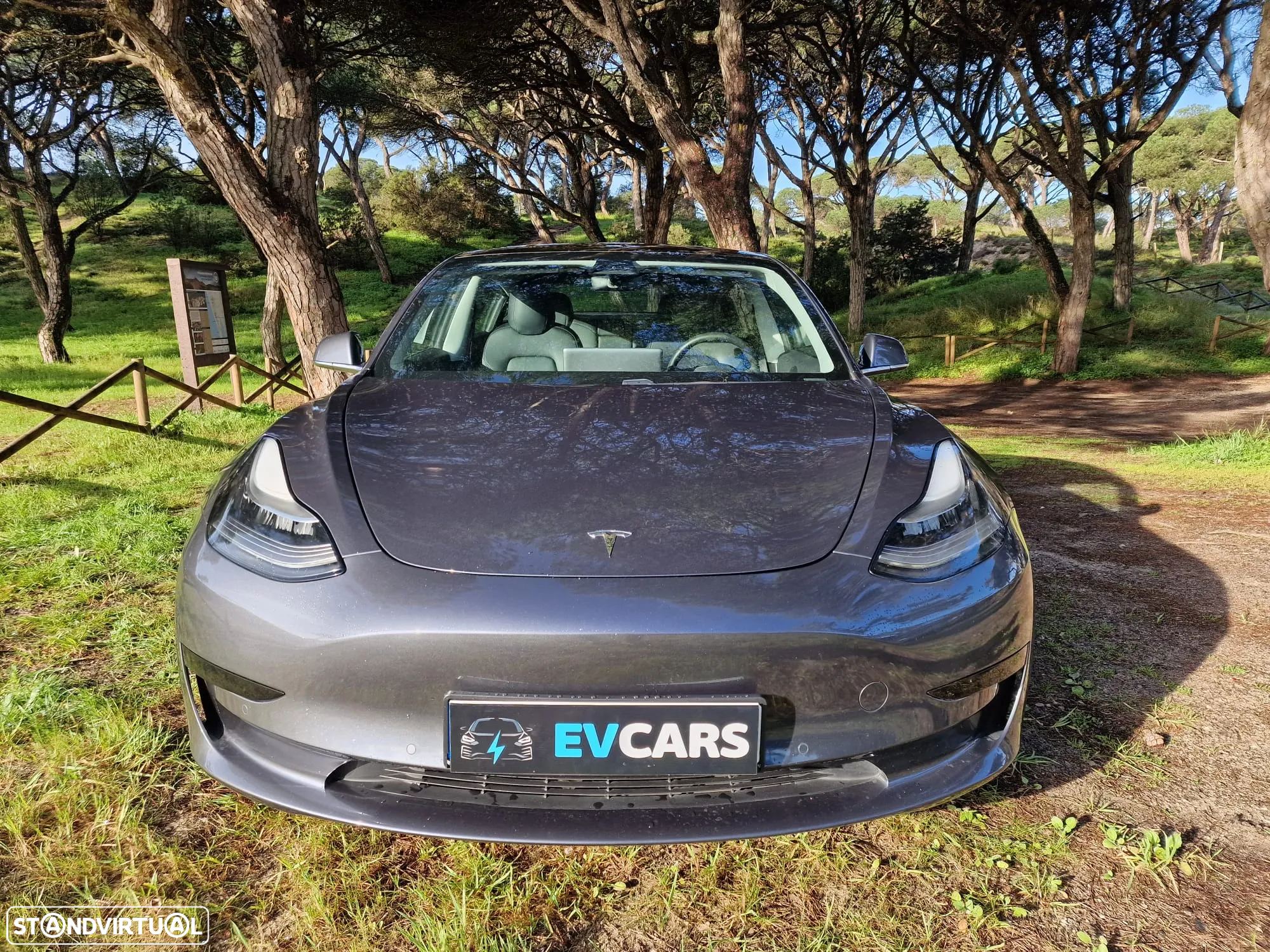 Tesla Model 3 Standard Range Plus RWD - 29