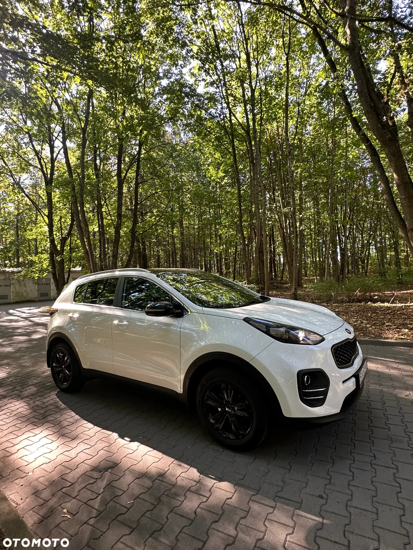 Kia Sportage 1.6 GDI Business Line 2WD - 20